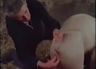 Pervert jerks off and fucks a pig in a wild bestiality porn scene
