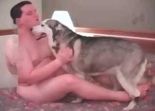 Un zoophile répugnant baise son chien dans la chambre dans une vidéo pornographique mettant en scène un zoo