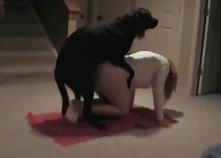 Une fille coquine montre ses fesses à son chien et se fait bien baiser