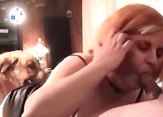 Filthy mature bitch gets fucked by her dog while sucking her BF’s
