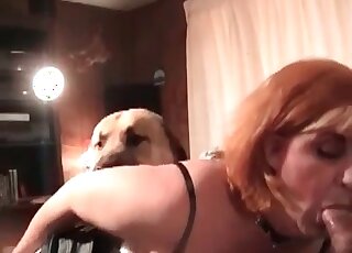 Filthy mature bitch gets fucked by her dog while sucking her BF’s