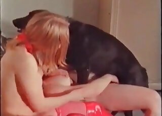 Des filles sexy partagent le pénis d'un gros chien noir dans un film porno zoophile torride