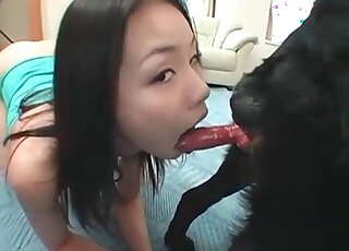 Ces bimbo asiatiques gâtées ne peuvent s'empêcher de sucer les bites roses des chiens