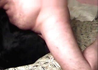 Un gros zoophile baise son chien sur le lit dans une séance de porno zoophile torride