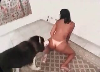 Suntanned slender chick wants her husky to bang her pussy