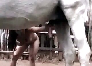 Une brune nue prend volontiers l'énorme pénis d'un cheval dans sa bouche