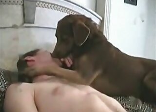 Un zoophile sans scrupules excite et baise sa chienne sur son lit