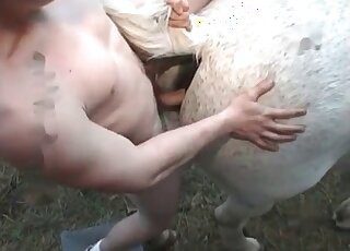 Guy s'approche d'un cheval par derrière pour le baiser aussi fort qu'il le peut