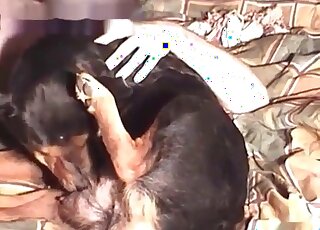 Crazy guy enjoys sexual intercourse with his dog in the bedroom