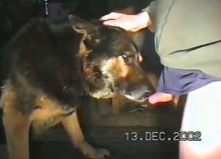 Guy takes out his dong and gives it to his dog to lick and to enjoy