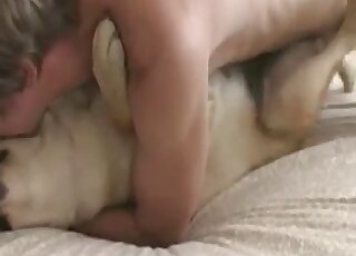 Dog stays immobile while a horny zoophile drills its pussy