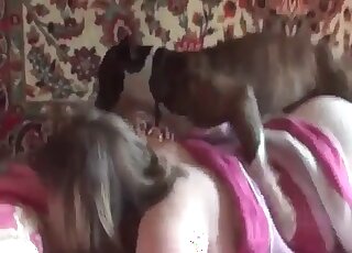 Fat housewife gives her anal and cunt to her trained canine to bang