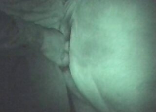 Un mec accro au sexe bestial vient baiser un cheval et s'en sort bien