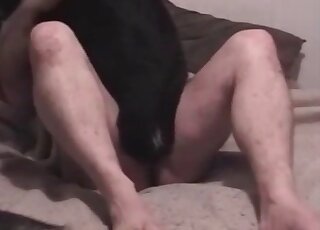 Female dog gets impaled on hard cock of a nasty zoophile dude