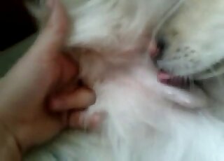 Fisting and fingering featured in a bestiality foreplay porn movie