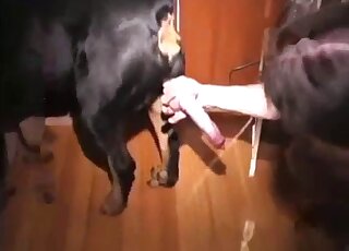 Zoophilic guy is happy to get fucked in the ass by a black beast