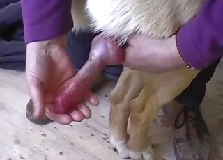 Handjob for a sexy dog spotlighted in a closeup movie with zoo action