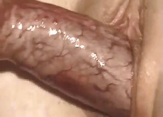 Skinny diva is happy to get her pussy fucked by a white animal