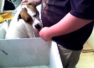 Un gros type sort sa bite pour baiser la gueule d'un chien chez lui