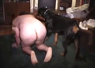 Black animal fucking this zoophile's hole in the dark on the floor