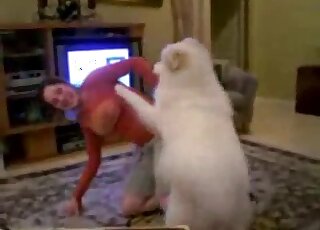 Zoophilic hottie in red tries her best to seduce this white doggo