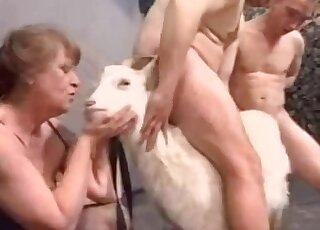 Bisexual bestiality orgy featuring amateurs that enjoy hard goat sex