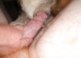Dude showing his cock and inserting it into a very tight fuckhole