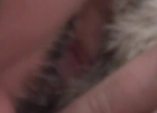 Closeup porn movie with dog pussy getting pleasured for real