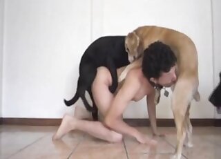 Dude with dark hair is getting power-fucked by two beasts here